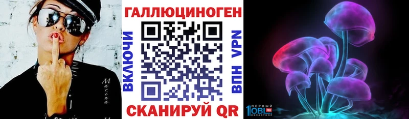 Галлюциногенные грибы Psilocybe где продают наркотики Котово